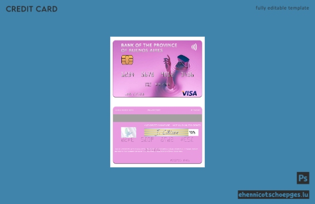 Beispielvorschau der Visa-Karte der argentinischen Zentralbank der Provinz Buenos Aires